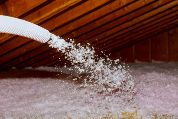 Best Insulation Materials and Products in Fritch, TX