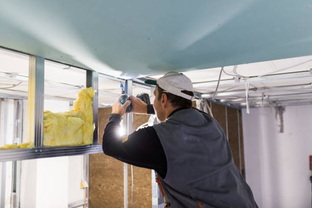 Best Insulation for Specific Applications in Fritch, TX