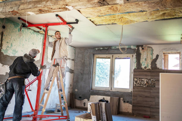 Best Specialty Insulation in Fritch, TX